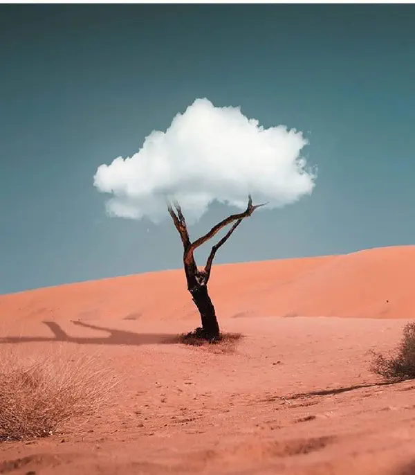 cloud-tree.jpg