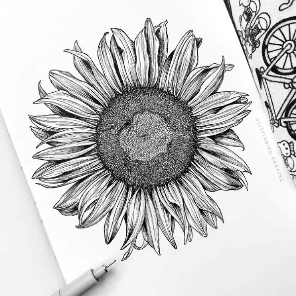 black-detail-sunflower.jpg