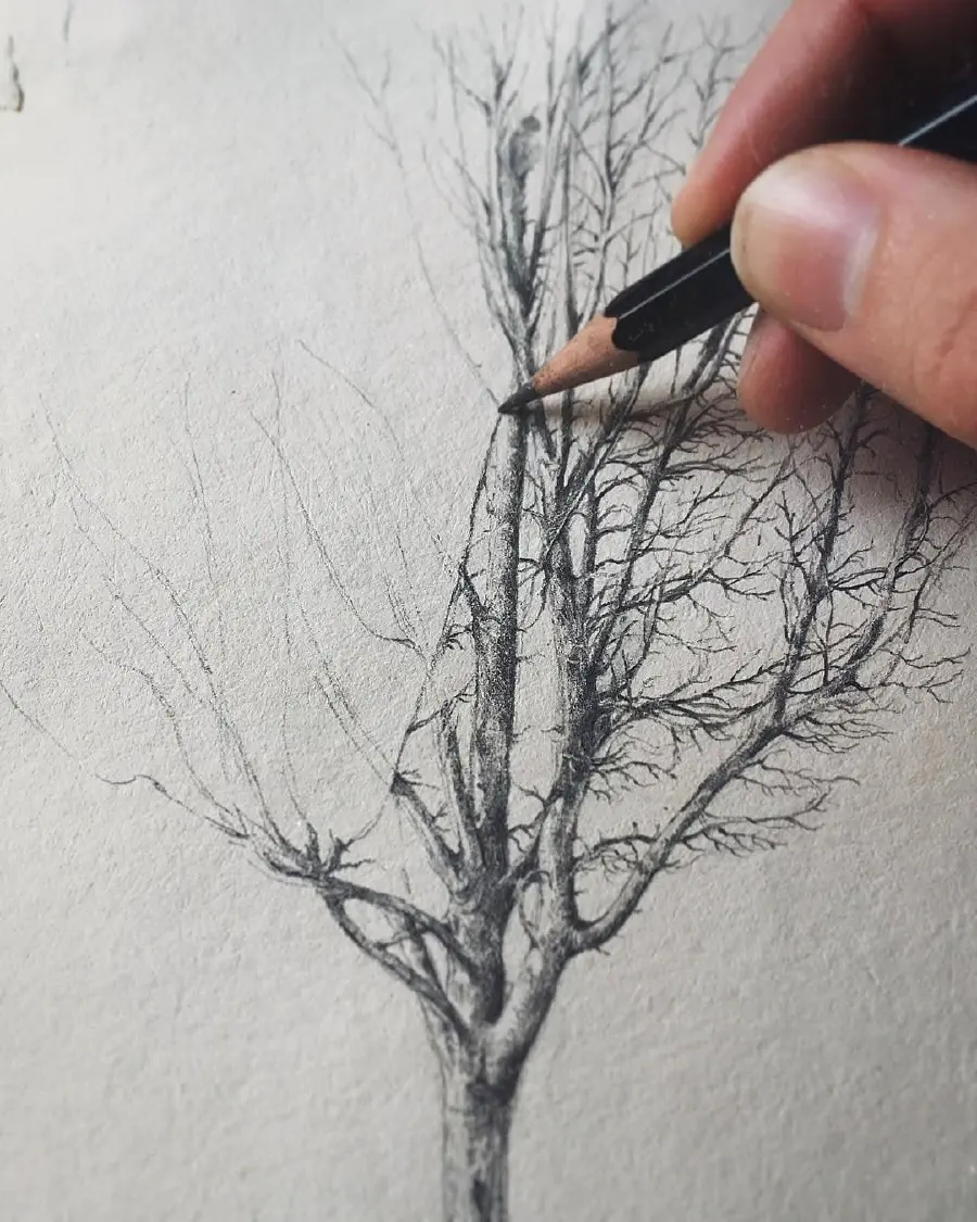 paper-trees.jpg