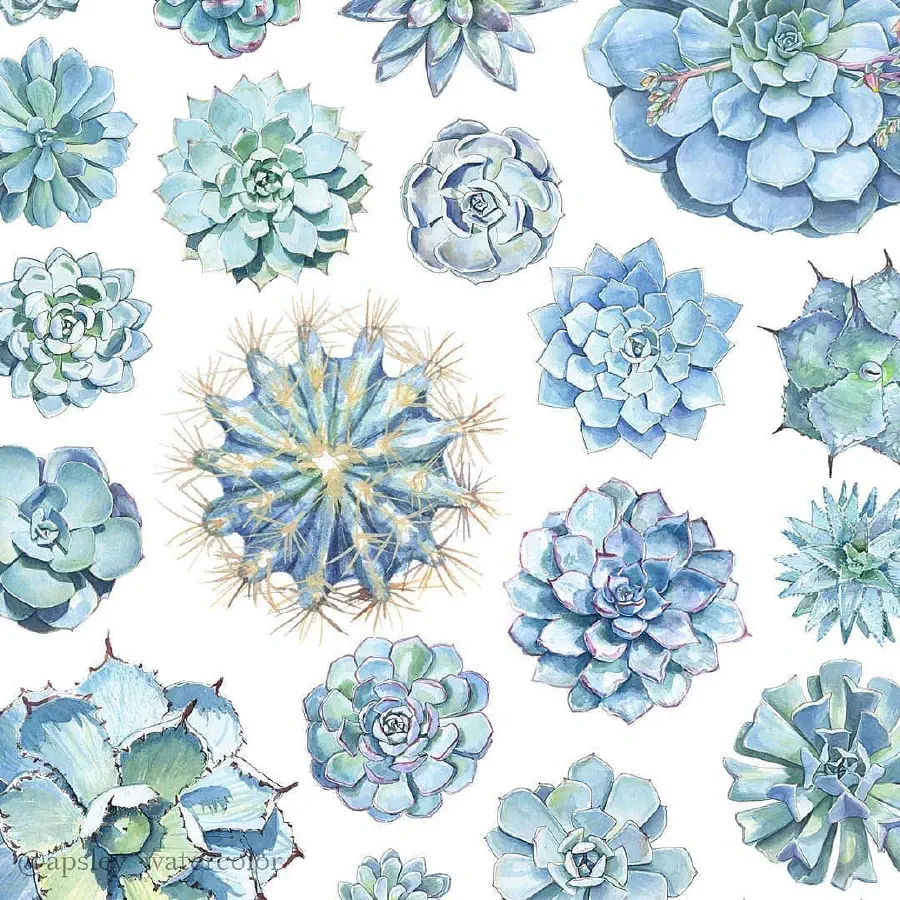succulent-pattern.jpg