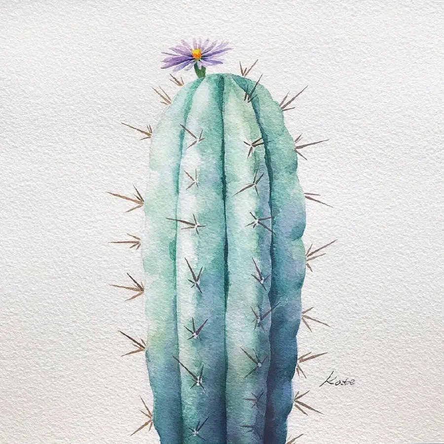 turquoise-cactus.jpg