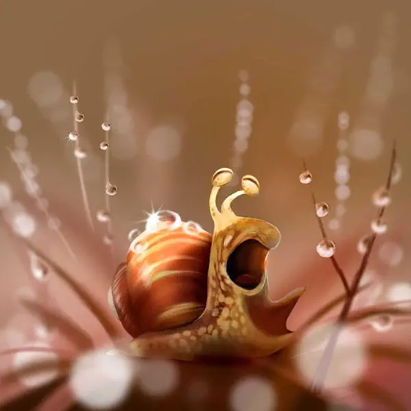 snails-yawn-too.jpg