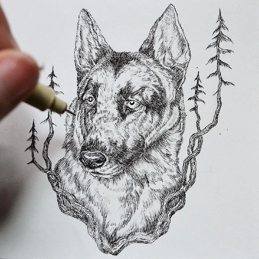 forest-dog.jpg