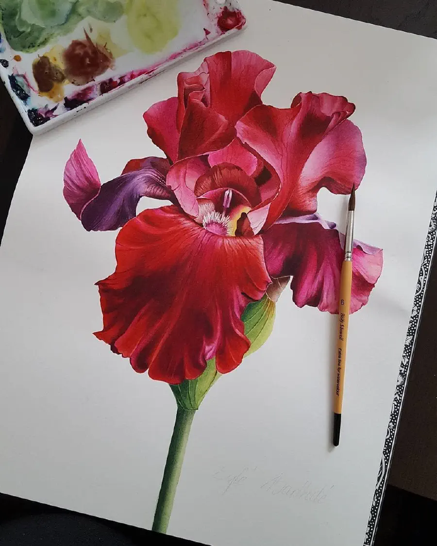 painted-iris.jpg
