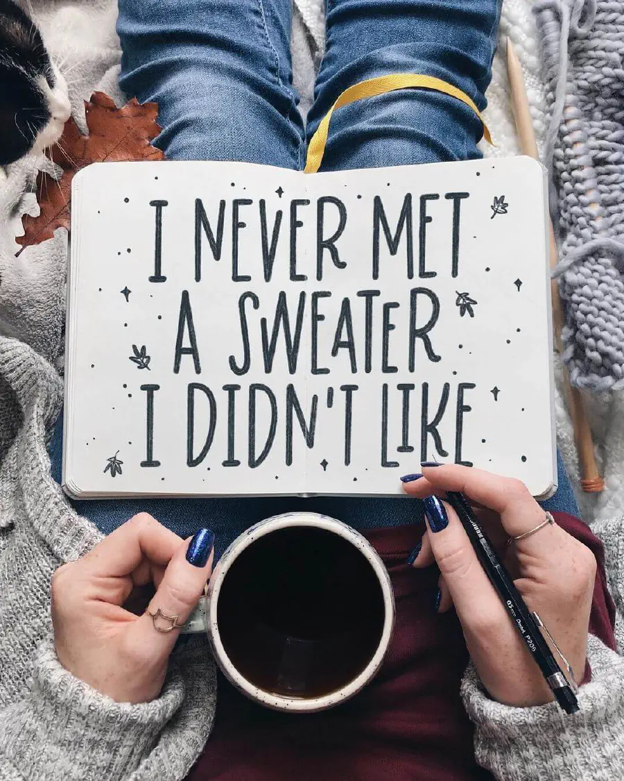 i-never-met-a-sweater.jpg