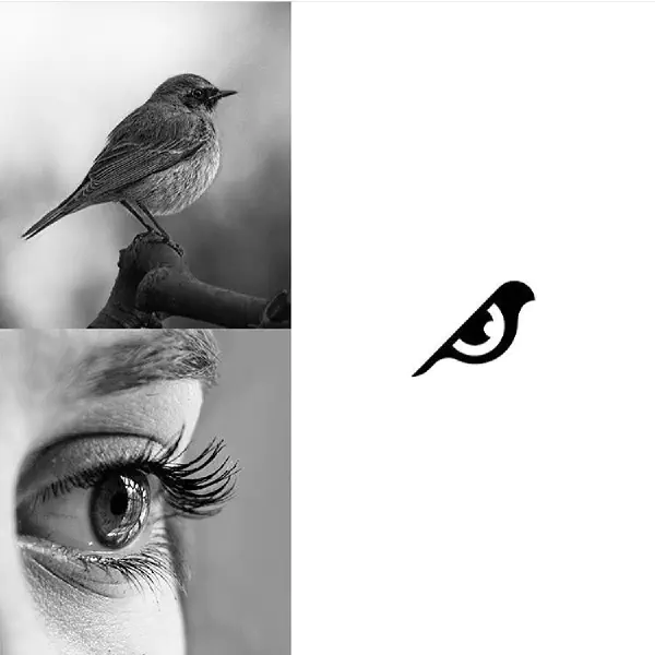 birds-eye.jpg