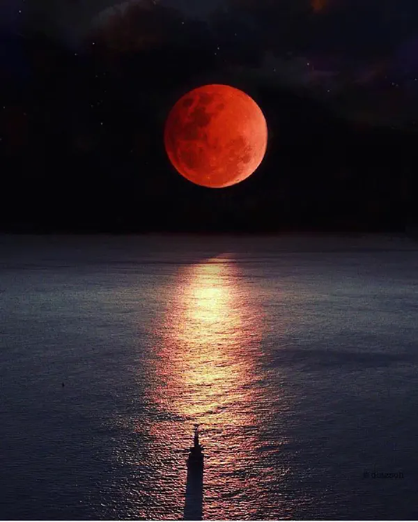magical-moonrise.jpg