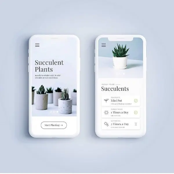 succulents-on-mobile.jpg